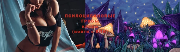 марки lsd Богородицк