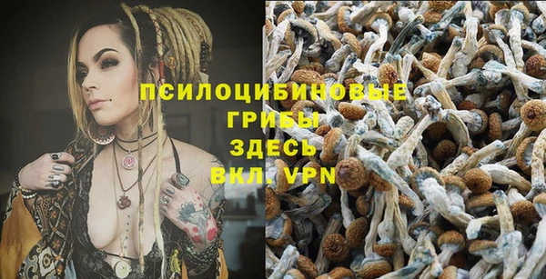мяу мяу мука Белокуриха