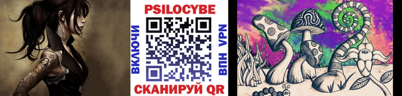 Псилоцибиновые грибы мицелий это официальный сайт Малаховка